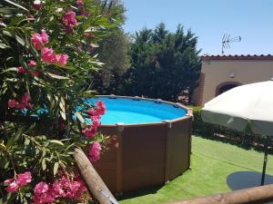 a swimming pool in a garden with flowers at Camerota Basic Appartamenti in Lentiscosa +23 photos