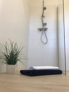 a shower in a bathroom with a towel and a plant at Das Haus am See in Marienfelde