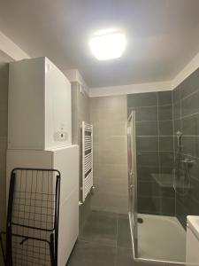 ein Bad mit einer Dusche, einem WC und einem Waschbecken in der Unterkunft Ubytovanie v útulnom prostredí Rajeckých Teplíc in Rajecké Teplice