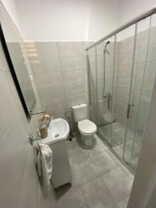 a bathroom with a toilet and a shower and a sink at Apartmani Home in Zaječar