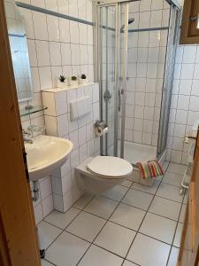 a bathroom with a shower and a toilet and a sink at Gästehaus Winzerhof Bader in Heuchelheim-Klingen