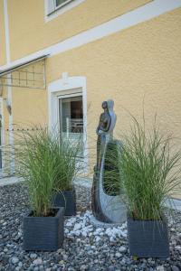 Fotografia z galérie ubytovania Haus NIEDERREITER v destinácii Bischofshofen