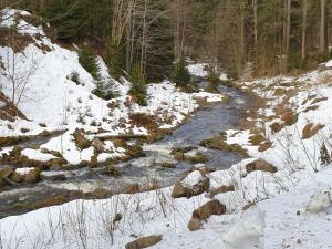 einen Fluss mit Schnee an der Seite eines Berges in der Unterkunft Gasthof und Pension Hammerschänke in Wildenthal