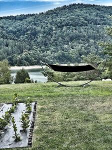 a hammock in a field next to a river at Czarna Chata Luxury Resort in Klimkówka