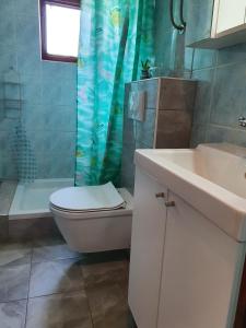 a bathroom with a toilet and a sink and a shower at Apartmani Ruk in Vrbanj