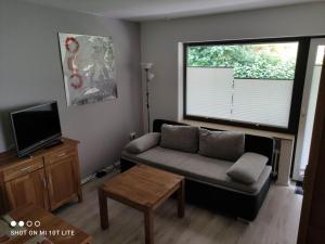 un salon avec un canapé et une télévision dans l'établissement Ferienwohnungen Lang, à Willingen