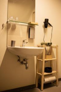 a bathroom with a sink and a mirror at Coastal Home Piedāgi Ūši in Kolka