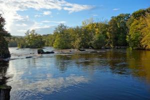 a river with a bunch of trees in the water at Les Cornadis in Saint-Priest-sous-Aixe +7 photos