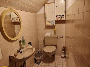 uma pequena casa de banho com WC e lavatório em Kuckucksnest em Menzenschwand