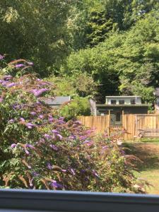ブリッドポートにあるThe Victorian Houseの紫の花の庭