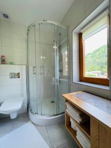 a bathroom with a shower and a toilet and a sink at Góralski Domek u Marysi in Ochotnica Dolna