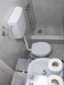 a bathroom with a white toilet and a sink at Prenoćište Vanja in Padej