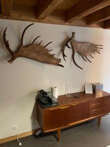 a wall with two deer antlers on a wall at Chalet Moose in Morzine