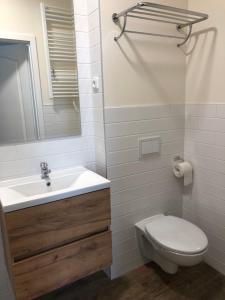 y baño con lavabo, aseo y espejo. en Penzion Vila E Landisch, en Chomutov