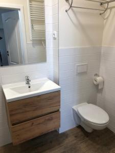 Koupelna v ubytování Penzion Vila E Landisch + 47 fotografií