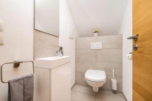 弗拉紹的住宿－Fischis Alpen Appartements，一间带卫生间和水槽的小浴室