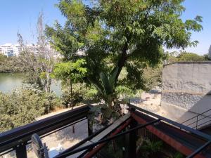 Príroda v okolí apartmánu