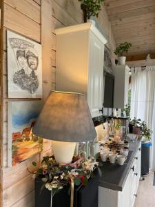 a kitchen with a lamp on a counter at Szarejkowy GLAMP in Szarejki