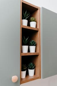 a shelf with potted plants in a room at Evo Residence Migdalului in Cluj-Napoca