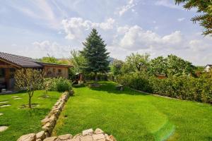 a yard with a green lawn with a tree at Ferienhaus Lichtblick in Freital