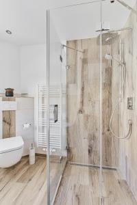 a bathroom with a glass shower and a toilet at Ferienhaus Lichtblick in Freital
