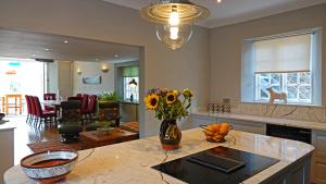 ダートマスにあるLauriston Houseの花瓶付きキッチン
