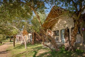 una casa con un árbol delante de ella en Umkumbe Safari Lodge Riverside en Skukuza