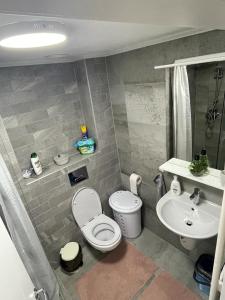 bagno con servizi igienici e lavandino di Apartament STEFI a Sighişoara