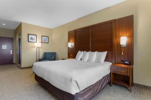 Postel nebo postele na pokoji v ubytování Best Western Texas City