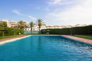 ein großer blauer Pool mit Palmen und Gebäuden in der Unterkunft Espanatour MADONNA in Torrevieja