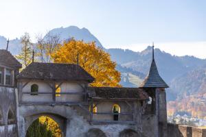 an old building with a tower and a mountain at Hotel D Bulle - La Gruyère in Bulle
