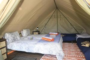 a bedroom with a bed in a tent at Horseshoe Game Reserve in East London
