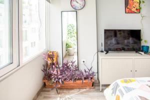 TV a/nebo společenská místnost v ubytování Ermou 18 Mosaics boutique apartment
