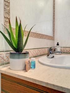 uma planta sentada num balcão de casa de banho ao lado de um lavatório em Cala Azul -7909 em Cabo de Palos