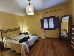 a bedroom with a bed and a large mirror at Preciosa casa en capileira in Capileira