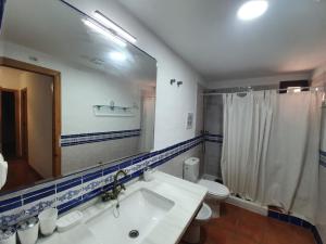 カピレイラにあるPreciosa casa en capileiraのバスルーム(洗面台、トイレ、鏡付)