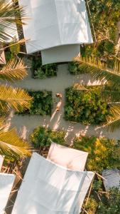 an overhead view of a garden with palm trees at La Cocoteraie Ecolodge - Luxury Glamping Tents in Gili Trawangan