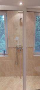 um chuveiro com uma porta de vidro na casa de banho em villa Tia Maria em Hisarja