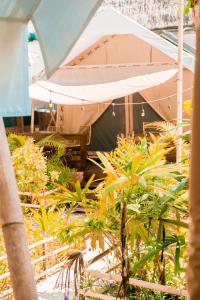 a tent in a garden with plants at La Cocoteraie Ecolodge - Luxury Glamping Tents in Gili Trawangan