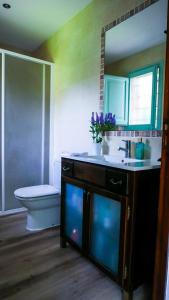 een badkamer met een wastafel, een toilet en een spiegel bij Villa en el Golf Costa Brava a 5 min de la playa in Santa Cristina d'Aro