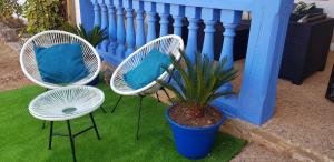 dos sillas y una planta en una olla al lado de una valla en Casa Rochafrida, en Ossa de Montiel