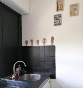 - une cuisine avec un évier et des plantes en pot sur le mur dans l'établissement Appartement Circé - Montpellier Nord-Hopitaux-Facultés, à Montpellier