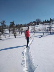 Apartman Teodora Uvac during the winter