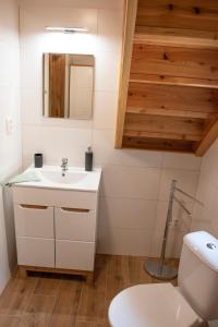 ein Badezimmer mit einem weißen Waschbecken und einem WC in der Unterkunft Chata Na Vyhlídce in Železnice