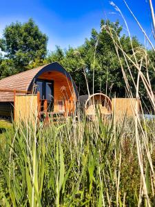 a cabin in the middle of a field of tall grass at Pod Hotelkamer aan het water in Dokkum