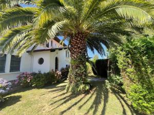 a palm tree in front of a house at Biarritz-Anglet Appartement T3 en villa jumelle in Anglet
