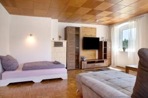Μια τηλεόραση ή/και κέντρο ψυχαγωγίας στο Bauernhofwohnung Friedrichshafen