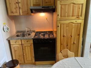una piccola cucina con piano cottura e lavandino di NadSan Mountain House a Camigliatello Silano