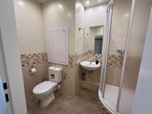 Zdjęcie z galerii obiektu Apartment Alice Center w Karlowych Warach