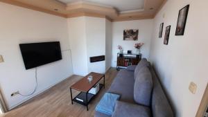 a living room with a couch and a flat screen tv at Ferienwohnung Schneeberg in Papendorf